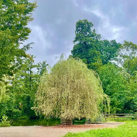 شقة -am Pfuehlpark- *