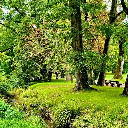 شقة -am Pfuehlpark- *