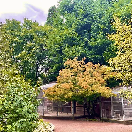 -am Pfuehlpark- هايلبرون