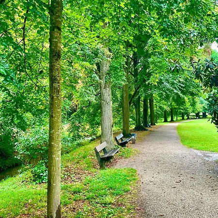 Appartement -am Pfuehlpark-
