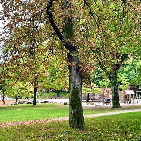 Appartement -am Pfuehlpark-