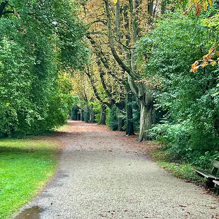 Appartement -am Pfuehlpark- *
