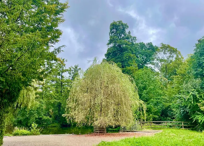 Appartement -am Pfuehlpark- *