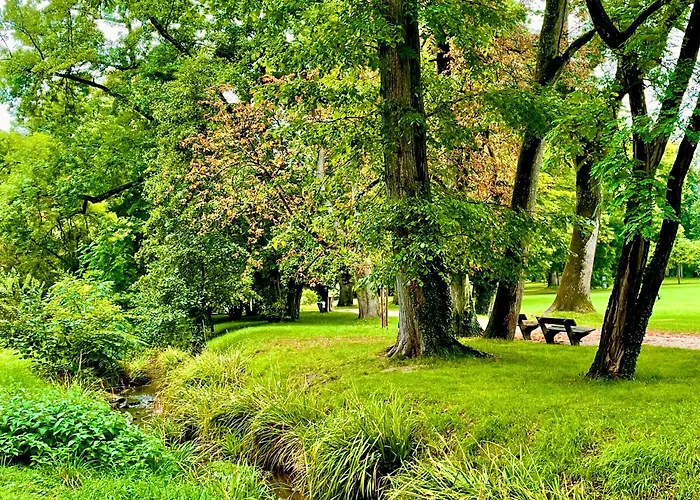 Appartement -am Pfuehlpark- *