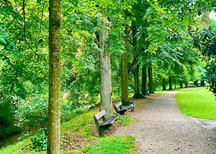 Appartement -am Pfuehlpark-